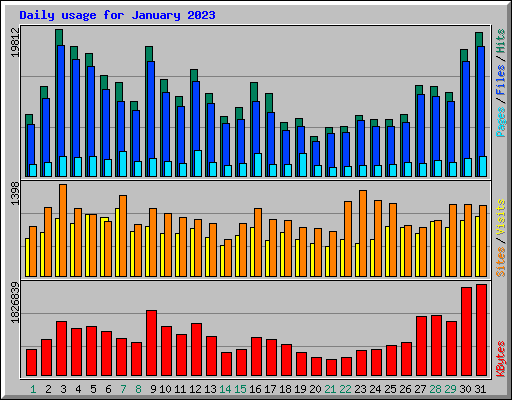 Daily usage for January 2023