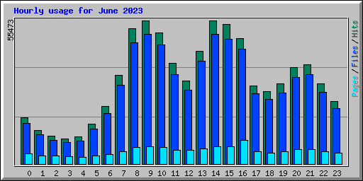 Hourly usage for June 2023