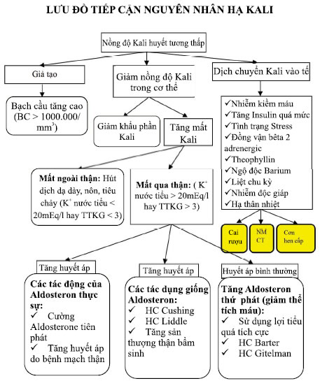 4. Chẩn đoán hạ kali máu